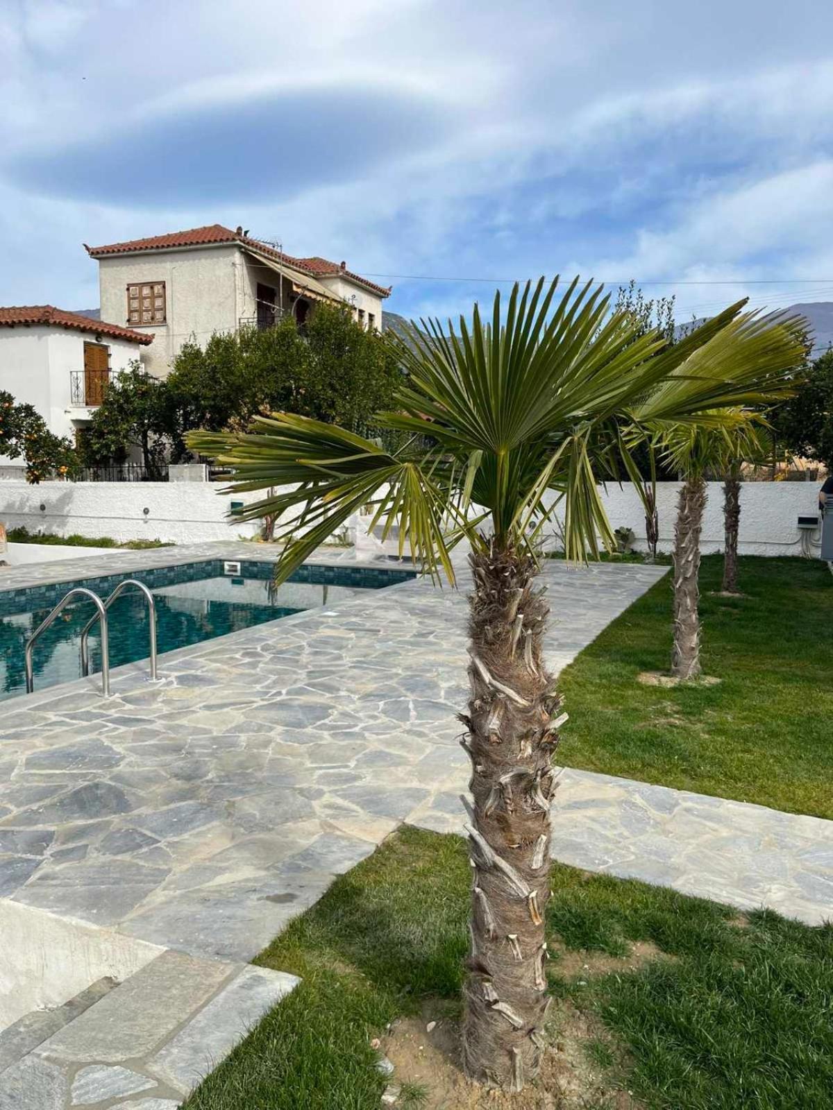 Kostis Orange Resort Volos Exterior photo